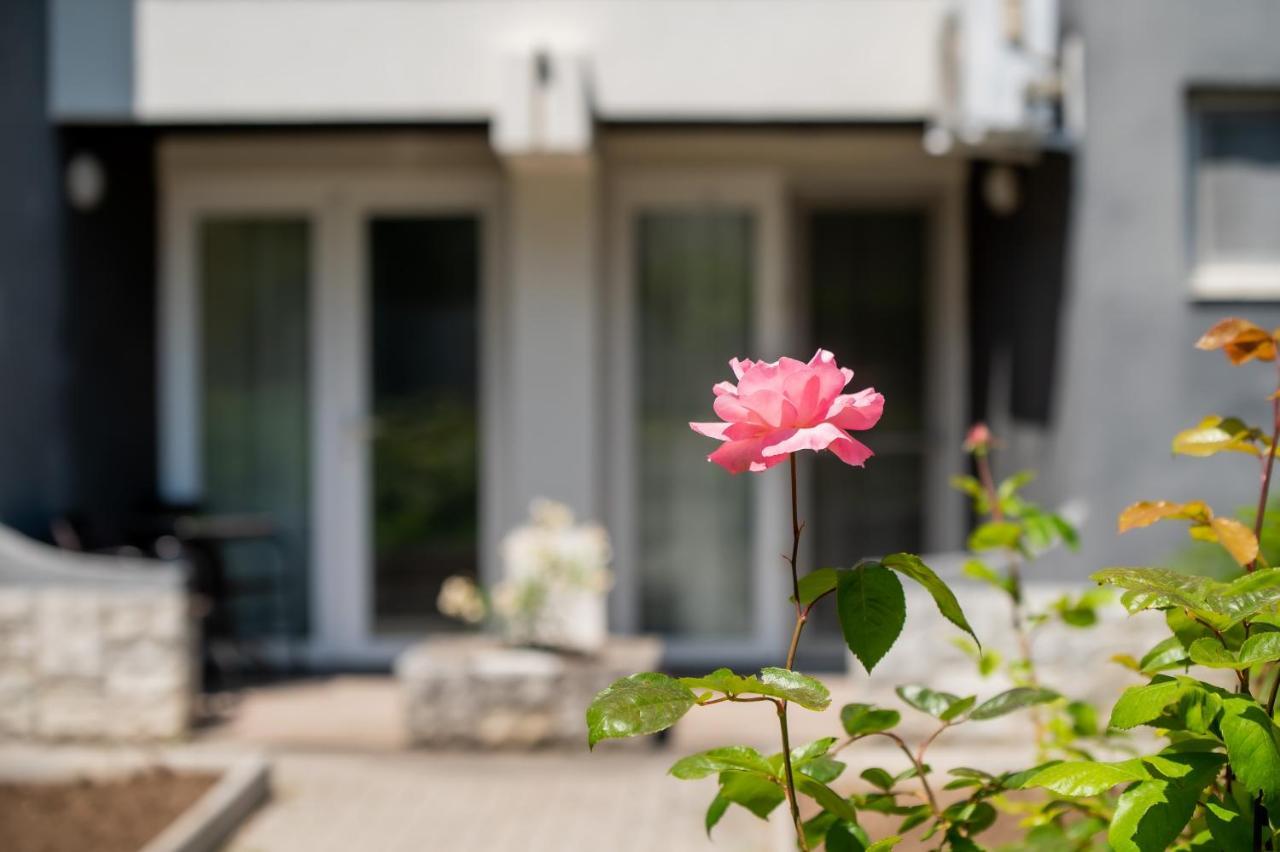 Complex Paloma Coral Hotel Mamaia Exterior photo